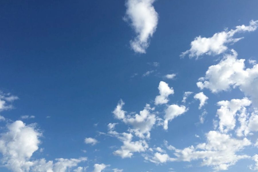 Kerry-Howells-cf8b41c931b3eb53dc6942e0978045e3